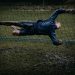 Schlank im Stadion-Look: Wie Fußballtrikots mich beim Abnehmen motivieren